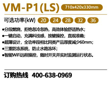 瑞馬VM-P1（LS）零冷水燃氣壁掛爐